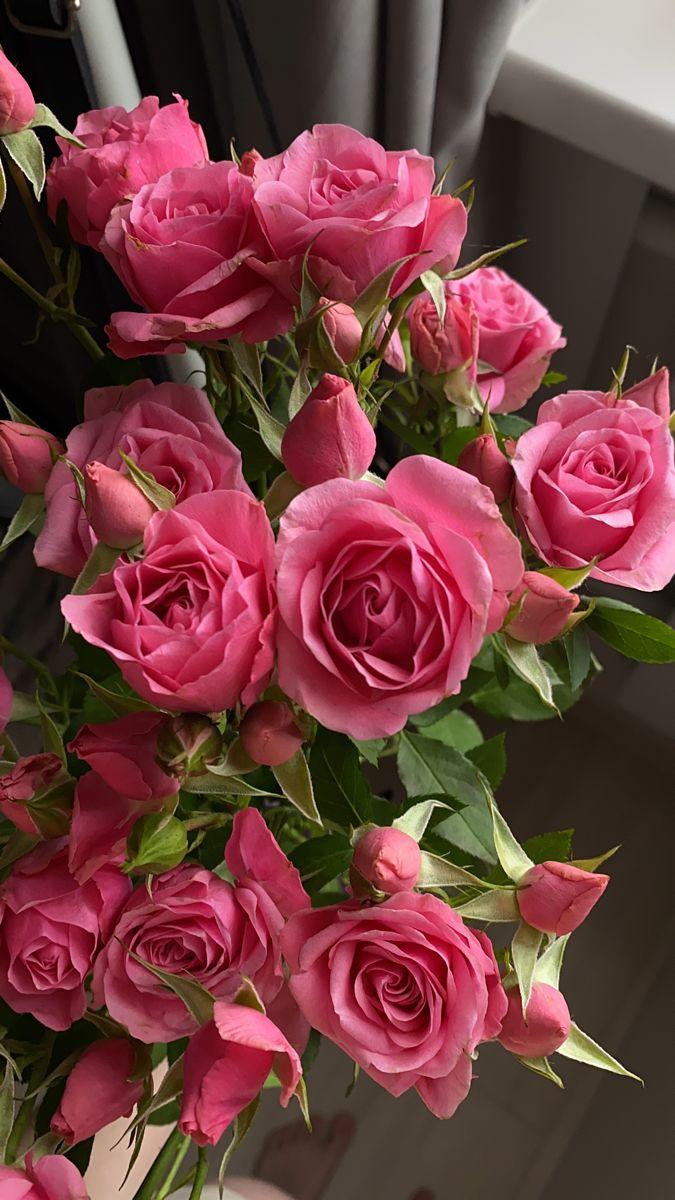 Whispers of Dawn Freshness Bouquet