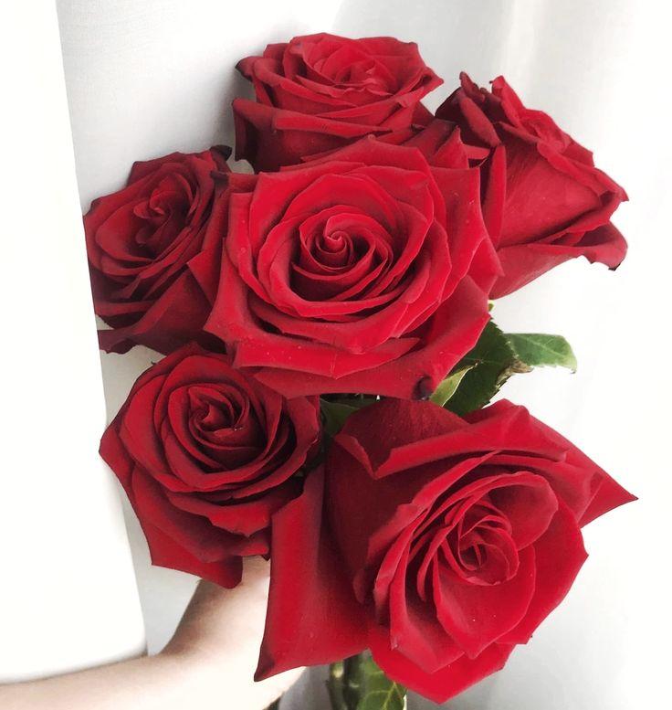 Eternal Elegance Timeless Flower Collection